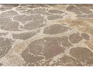 廢水處理中常用的氧化劑和還原劑有哪些？